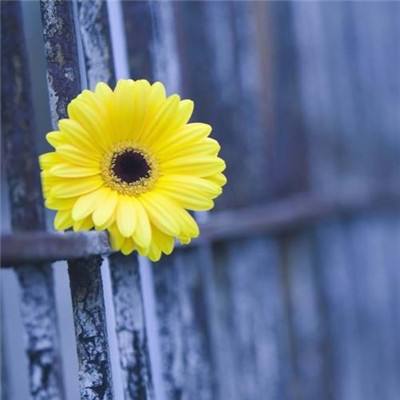 AG百家家乐app手机app下载截图