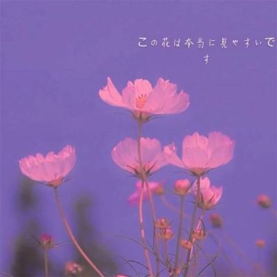 b体育必一官方下载入口