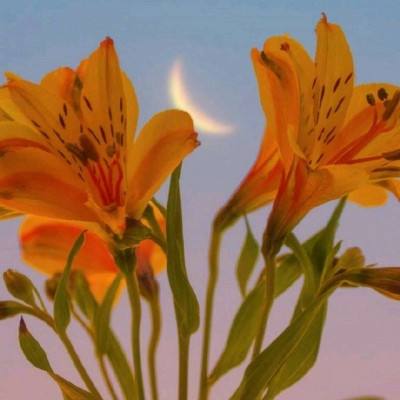 开运全站手机网页登录