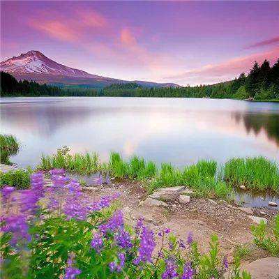 大发黄金版app下载