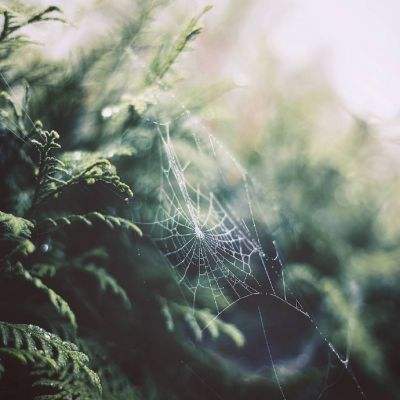 ky体育官方平台