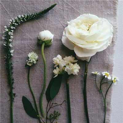 bet体育365官网正规手机app下载