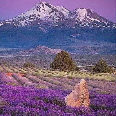 beat365官方最新版